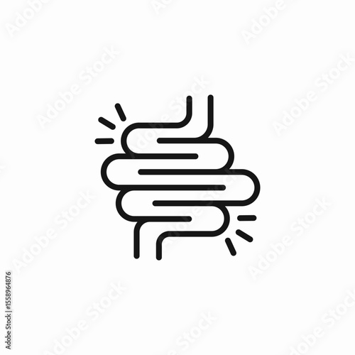 inflamed intestine organ icon sign vector