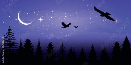 A magical night in the forest, the peace and freedom of nature, flight and silence under the starry sky.