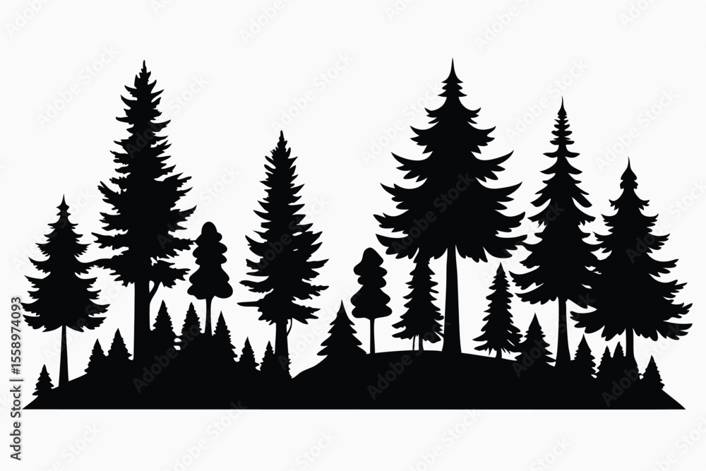 Fototapeta premium Majestic silhouette of evergreen forest trees landscape