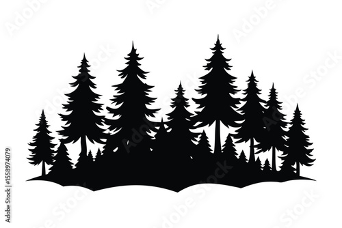 Majestic silhouette of a pine forest winter wonderland