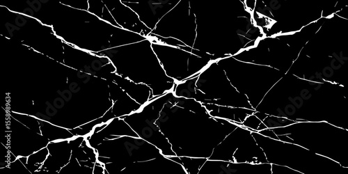 A stark, high-contrast image featuring intricate white veins sprawling across a deep, inky black background, mimicking the natural patterns found in marble or fractured glass.