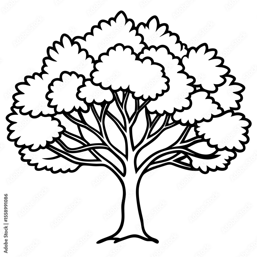 Obraz premium Camphor Tree line art vector