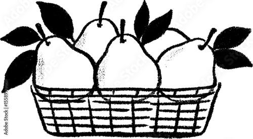 Charming hand-drawn sketch of pears in a basket with stems and leaves