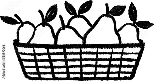 Hand drawn basket of pears with stems and leaves