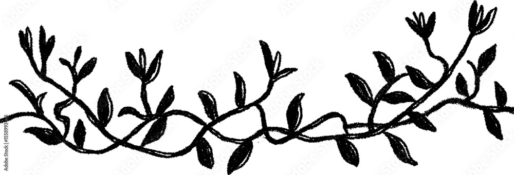 Obraz premium Hand drawn border of climbing vines and curls for decorative design