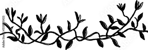 Hand drawn border of climbing vines and curls for decorative design