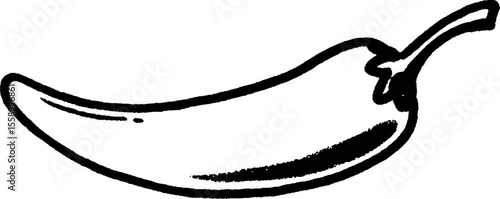 Hand-drawn sketch of a slightly curved chili pepper design