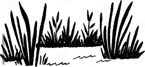 Sketch of forest clearing with tall grass