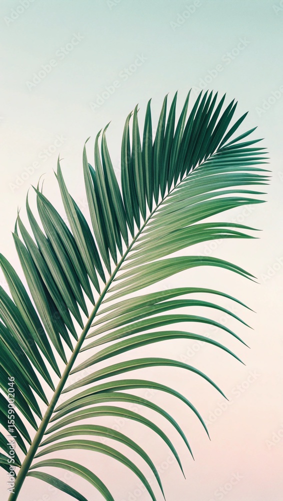 Obraz premium Close up of a vibrant green palm frond against a soft pastel gradient background