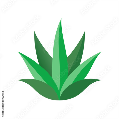Aloe vera herb clipart for skincare and wellness on transparent background for web and graphic design