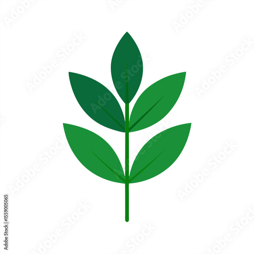 Botanical medicinal leaf clipart on transparent background for web and graphic design