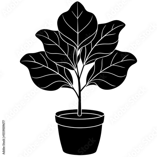 Fiddle leaf fig plant in pot black silhouette vector illustration