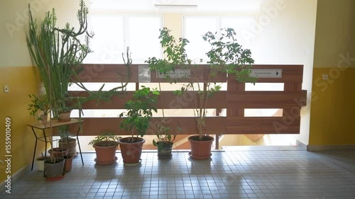 Old hospital corridor interior doctor room with flower