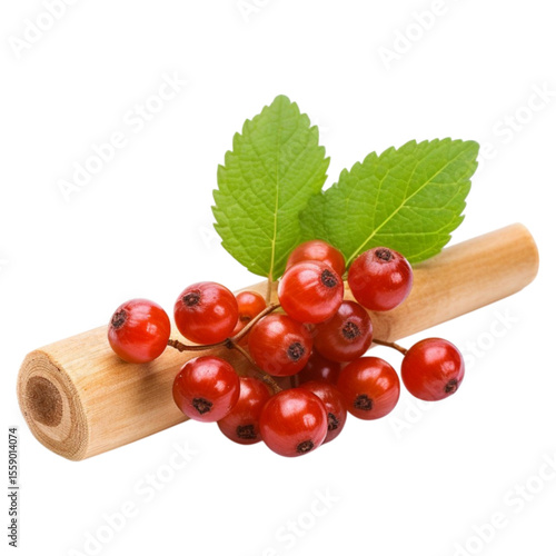 Sarsaparilla image isolated on transparent background.