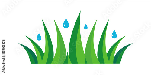Detailed grass blades with water droplets vector on transparent background for web and graphic design