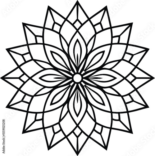 Geometric Flower Star Mandala vector 