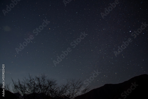 埼玉県秩父市の冬の夜、澄んだ空に広がる星空と山の稜線、木々のシルエットが織りなす静寂で幻想的な風景。自然や天体観測、癒しのイメージに最適な冬の夜空の写真素材です。