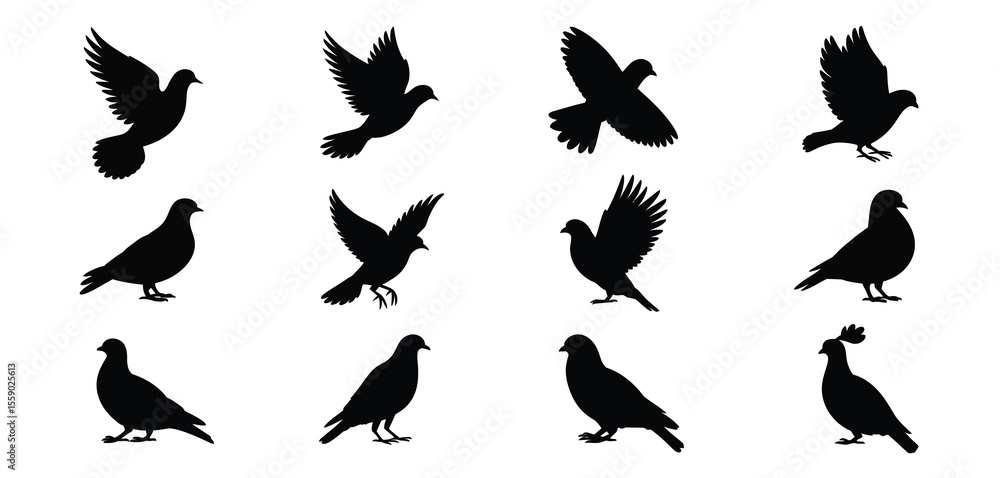 Obraz premium Silhouettes of Doves and Pigeons in Various Poses