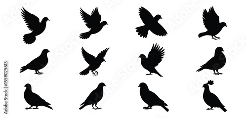Silhouettes of Doves and Pigeons in Various Poses