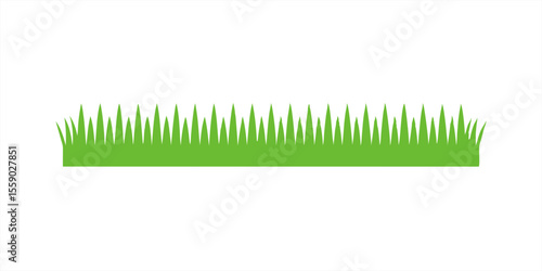 Neatly cut lawn grass strip illustration on transparent background for web and graphic design