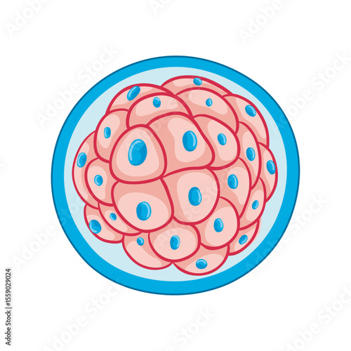 Cellular Structure: Illustrative depiction of a blastocyst, a microscopic sphere symbolizing the genesis of life, with distinct cell forms and an illustrative focus on biological intricacies.