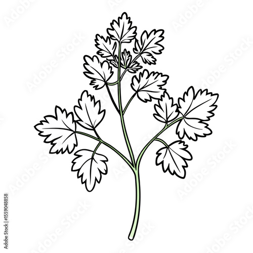 Wallpaper Mural black and white tree Torontodigital.ca