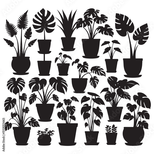 Collection of black silhouette potted houseplants with tropical leaves