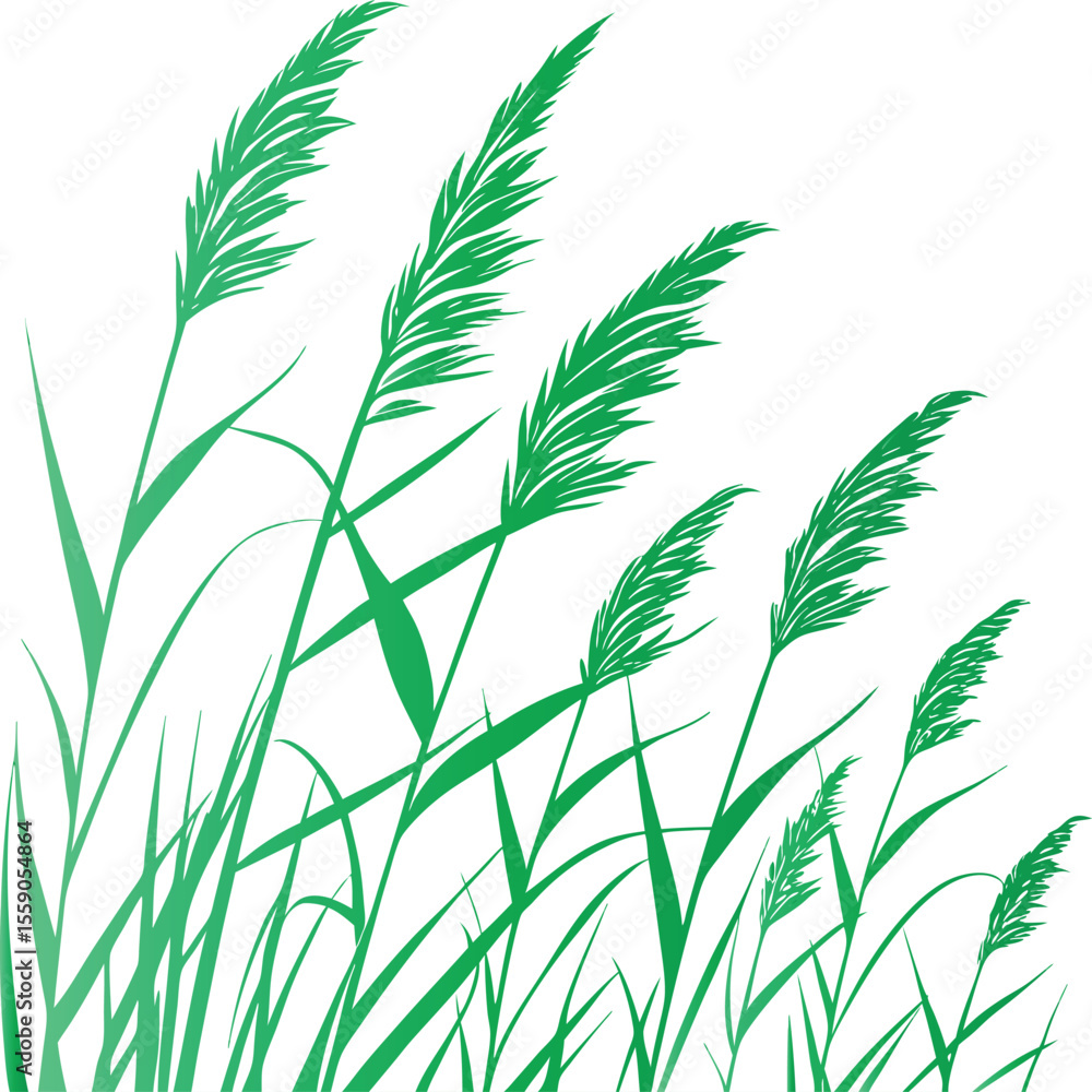 Obraz premium Green reeds swaying in the wind grass nature