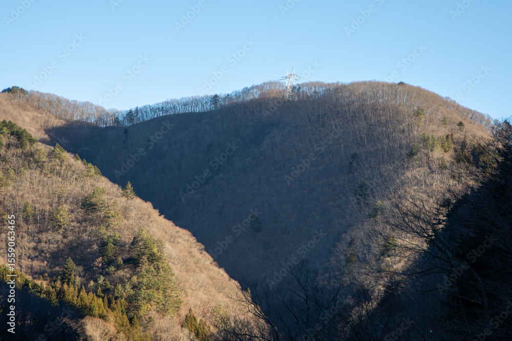 Fototapeta premium 群馬県で撮影した冬の山の稜線と澄んだ青空の風景。落葉した木々と針葉樹の緑が対比をなし、冬の静寂と澄んだ空気感を感じさせる自然景観。登山やハイキング、自然風景素材に最適。