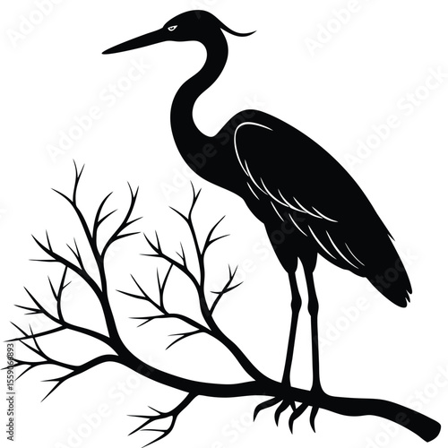 Black Silhouette of a Heron on Tree Branch
