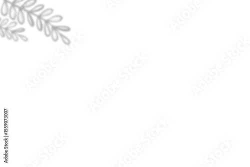 shadow A delicate, stylized branch with small, rounded leaves curves in the upper left corner.