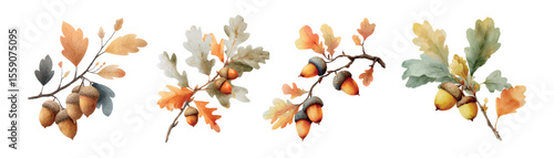 Watercolor set of autumn oak tree branches with acorns. Autumn oak branch with leaves and ripe acorns. concept of natural autumn elements. Watercolor autumn forest trees. Vector illustration.