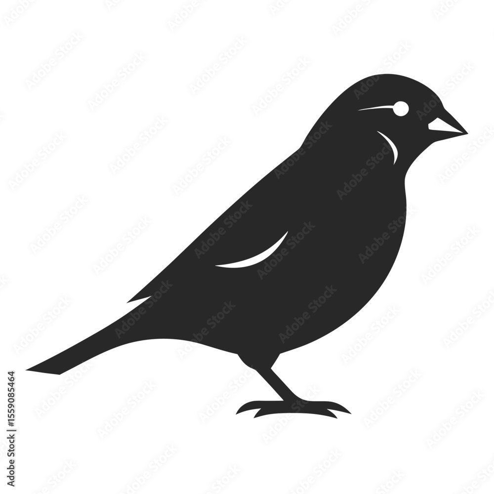Obraz premium crow on a white background