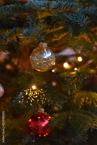 Silver Glass Ornament Reflecting Lights on Tree