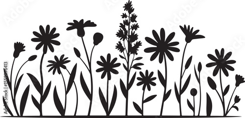  Detailed line art illustration of a wildflower border silhouette with daisies and spiked blooms, featuring slender stems and leaves, rendered in black outline style.