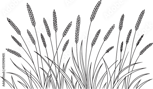 detailed line art illustration of a wild grass silhouette, featuring a dense cluster of tall grasses with varied blade shapes and seed heads in monochrome