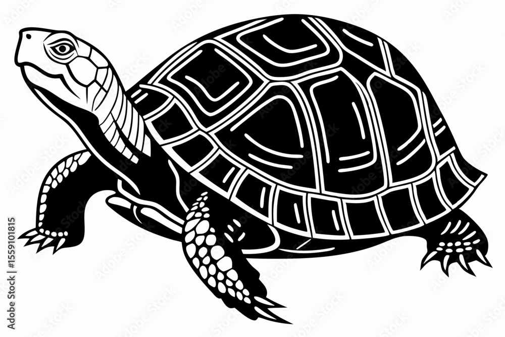 Fototapeta premium box turtle sihouette black vector