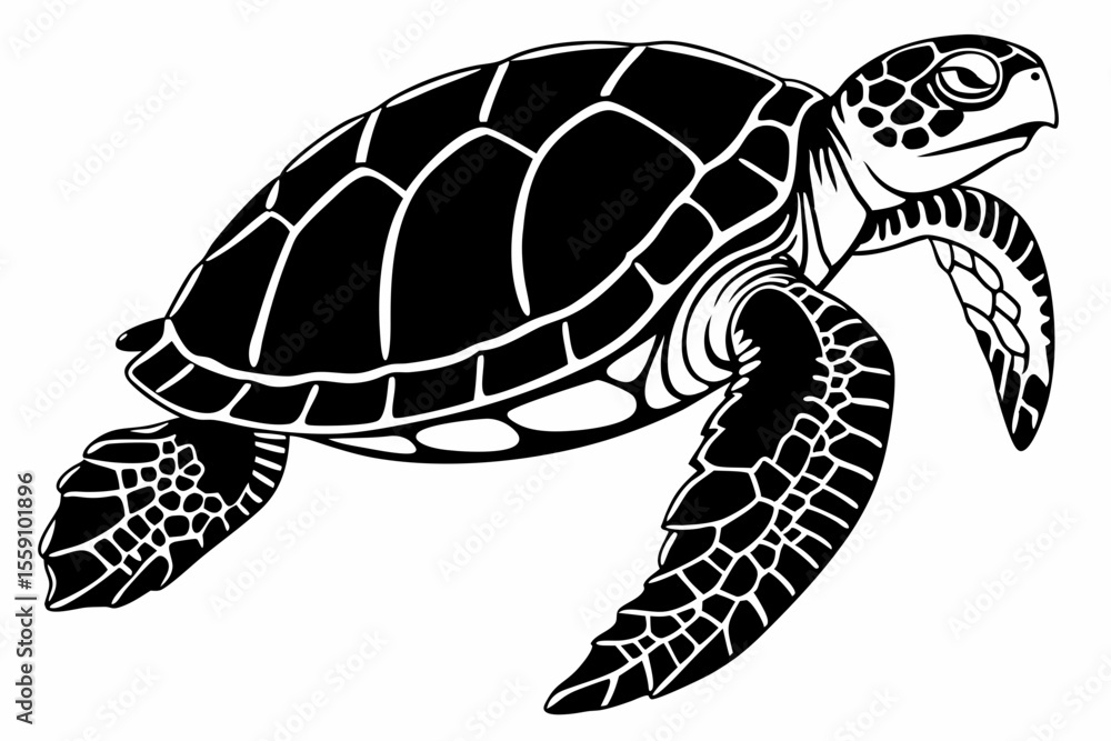 Fototapeta premium box turtle sihouette black vector