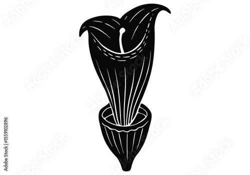 corpse flower  small version  silhouette on white background