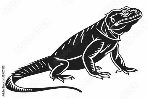 Chuckwallas sihouette black vector