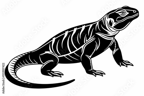 Chuckwallas sihouette black vector