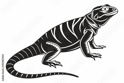 Chuckwallas sihouette black vector