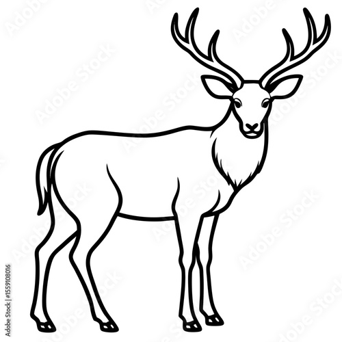 Wildlife Duo Wapiti and Vole Vector Sketch
