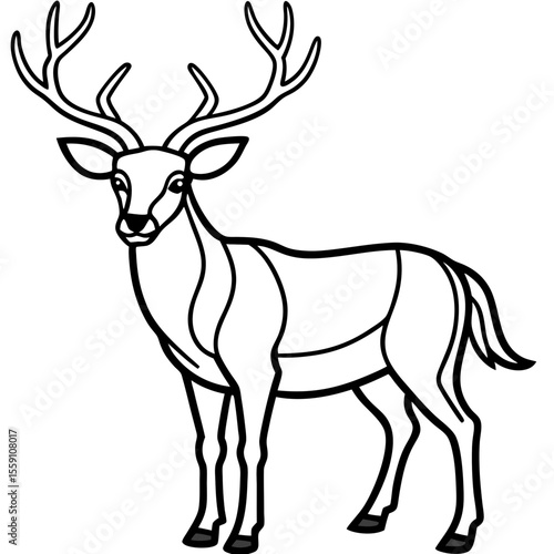 Wildlife Duo Wapiti and Vole Vector Sketch