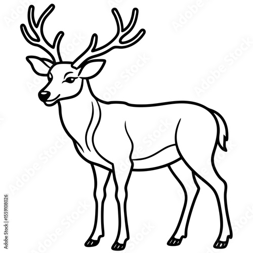 Wildlife Duo Wapiti and Vole Vector Sketch