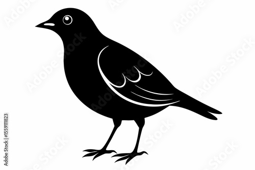 lark bird sihouette black vector