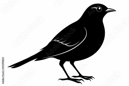 lark bird sihouette black vector