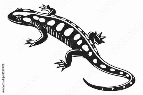 fire salamander sihouette black vector