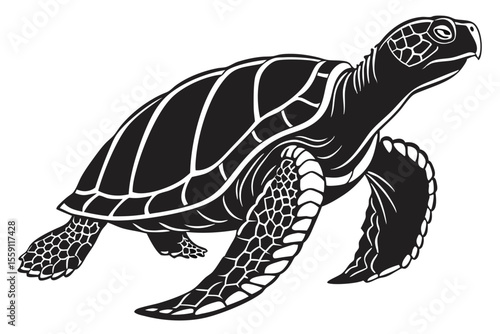 gal pagos tortoise sihouette black vector
