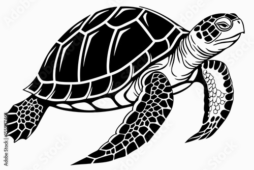 gal pagos tortoise sihouette black vector